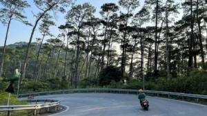 Đèo Tam Đảo (Ảnh: Du Lịch).